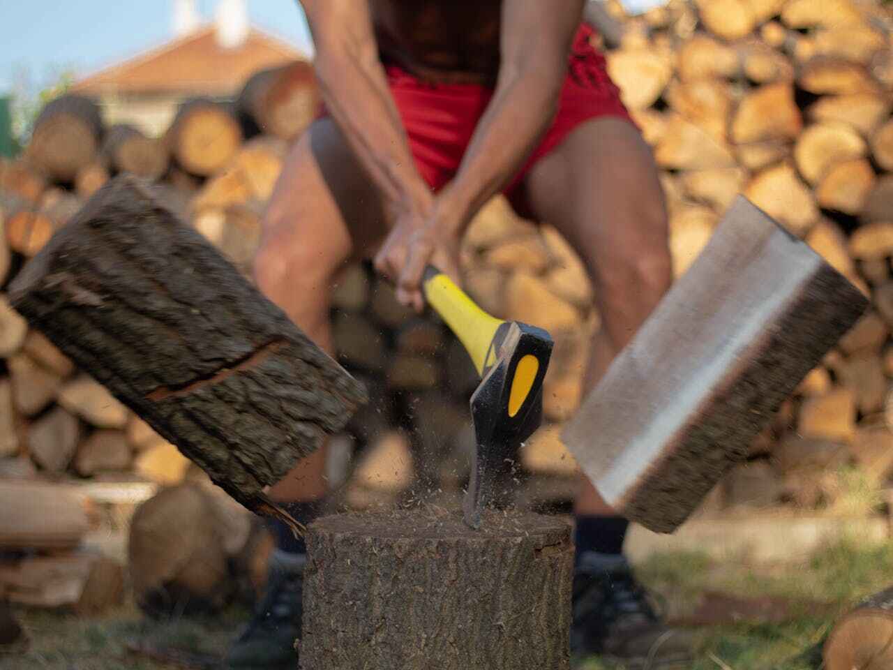 The Steps Involved in Our Tree Care Process in Rancho Santa Margarita, CA